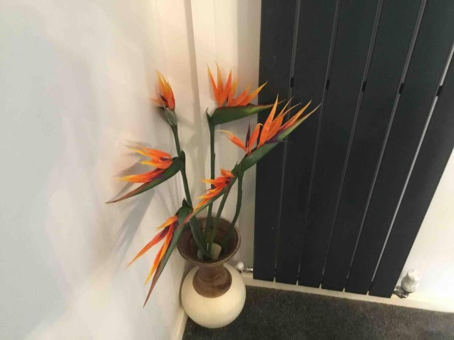 Appartement Y Bwythyn - Lovely In Village Of Spittal